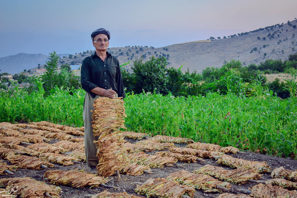 بەروبوومە نەختییەکانی کوردستان